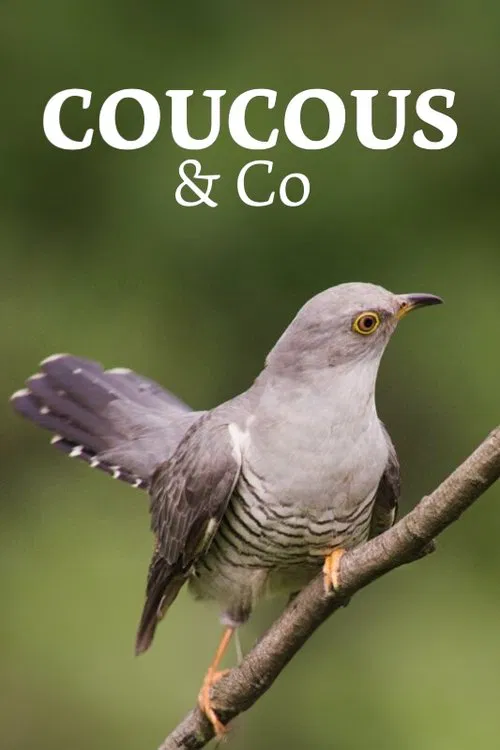 Poster do filme Überraschungseier - Neues von Kuckuck und Co.