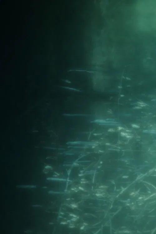 Notes of Forms movie poster