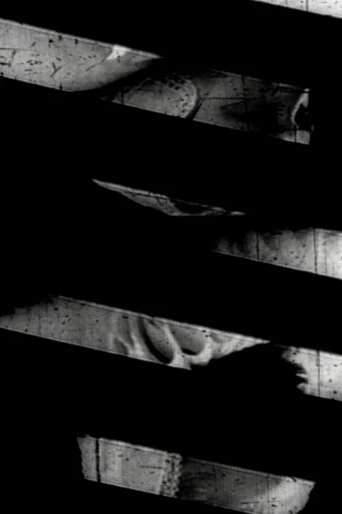 Window of the World Part 1: Hairstyle Colidascope movie poster