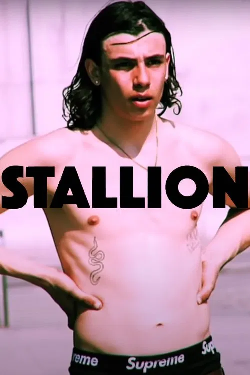 STALLION movie poster