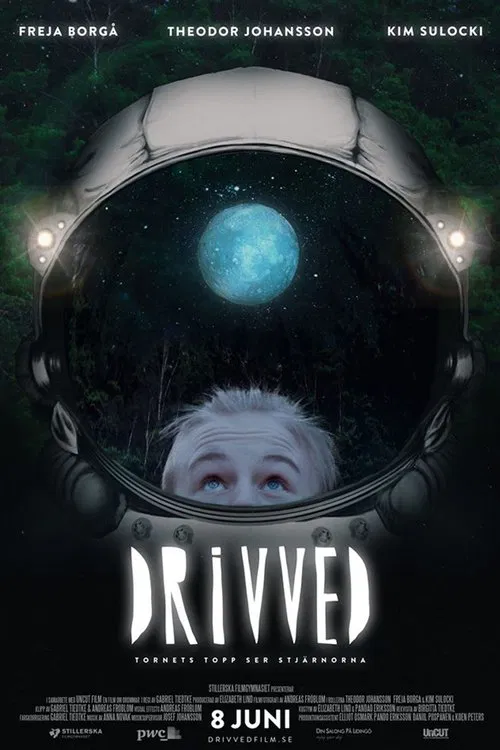 Driftwood: A Short Film About Dreams movie poster