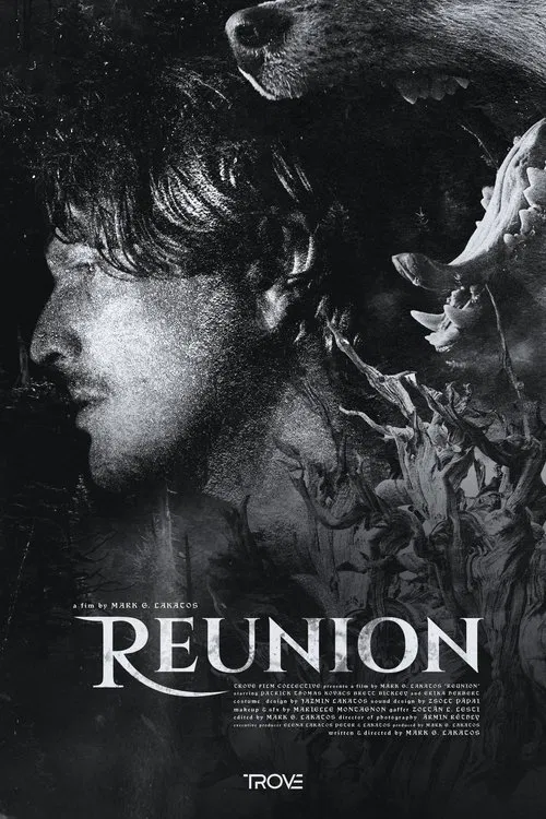 Reunion movie poster