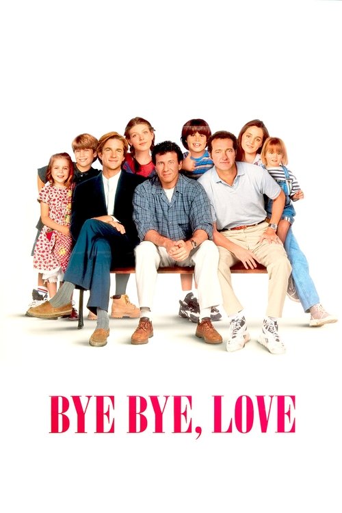 Bye Bye Love movie poster