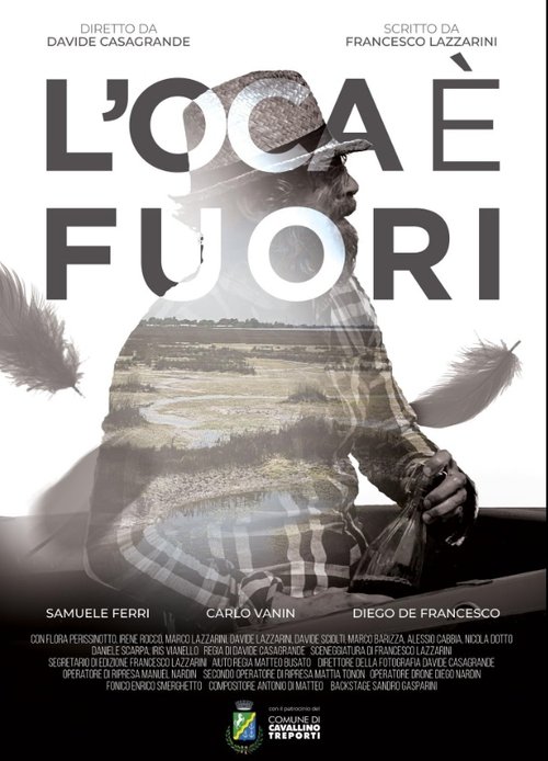 L'oca è fuori movie poster
