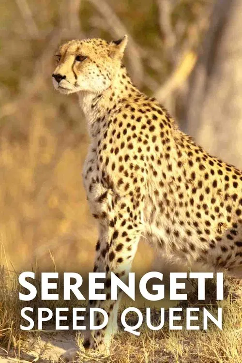 Serengeti Speed Queen movie poster