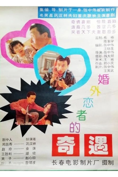 婚外恋者的奇遇 movie poster