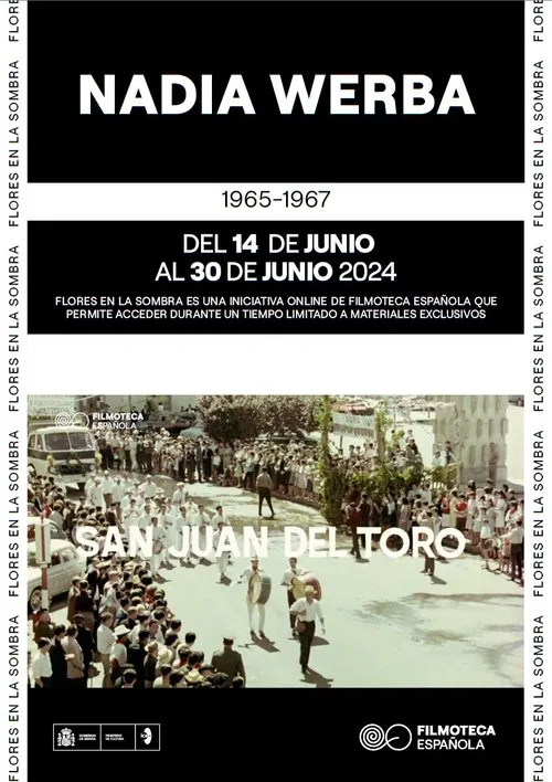 San Juan del Toro movie poster