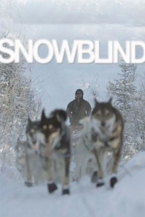 Poster do filme Snowblind