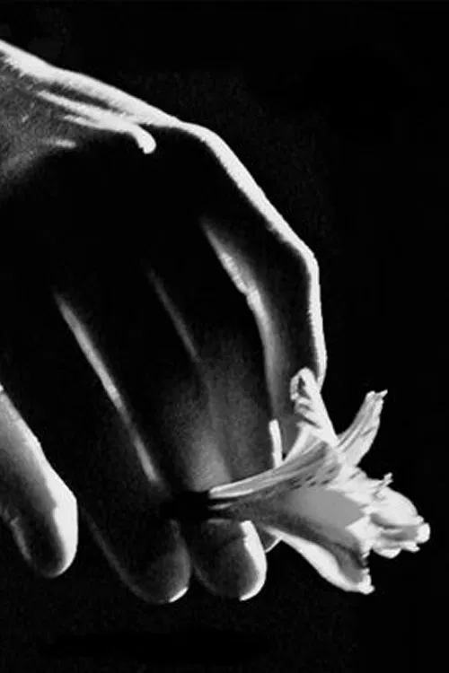 Son of the Preacher movie poster