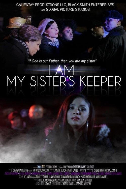 I Am My Sister's Keeper movie poster
