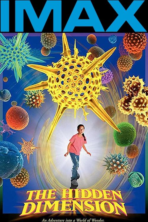 The Hidden Dimension movie poster