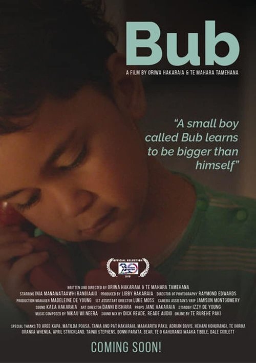 Bub movie poster