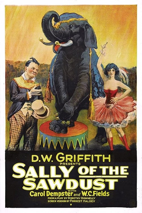 Sally of the Sawdust movie poster