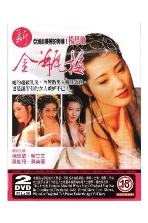 New Jin Pin Mei movie poster