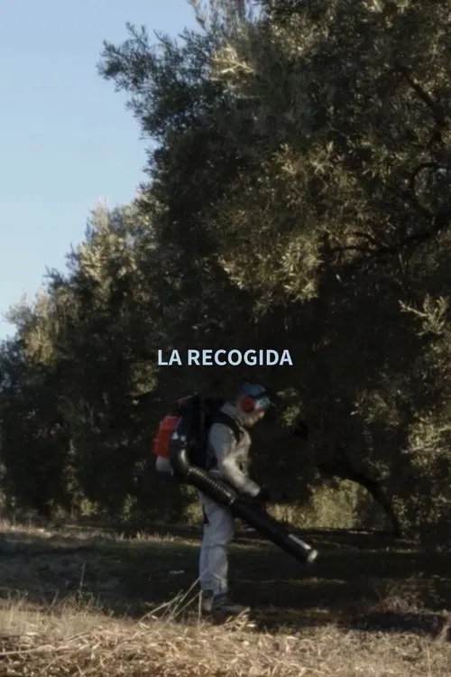 La Recogida movie poster