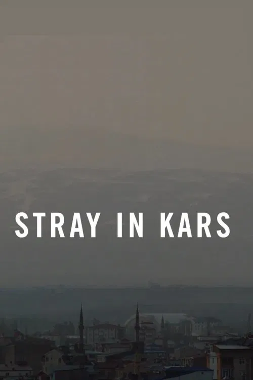 Stray in Kars movie poster