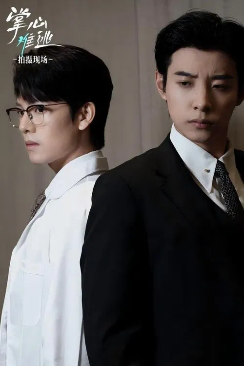 Poster da série 掌心难逃