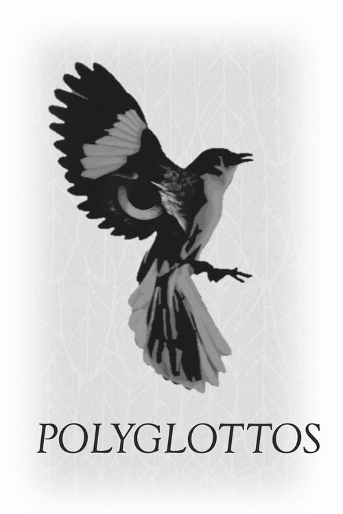 Polyglottos movie poster
