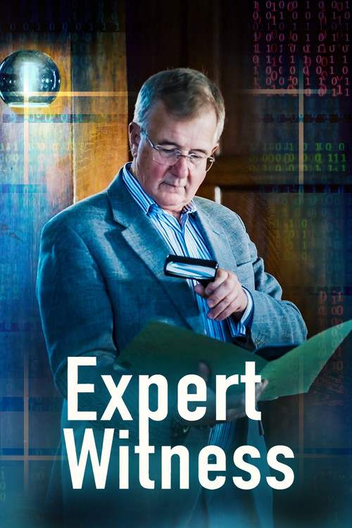 Expert Witness tv show poster