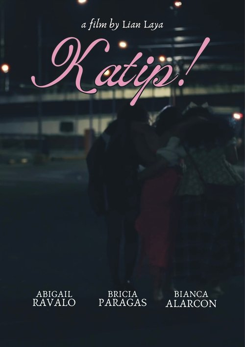 Poster do filme Katip!