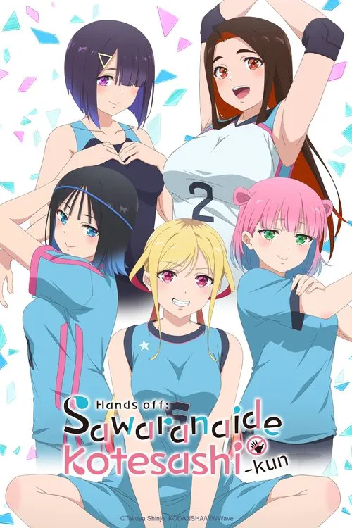 Hands off: Sawaranaide Kotesashi-kun tv show poster