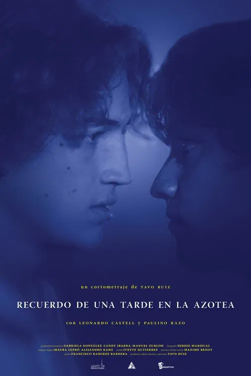 Memory of an Afternoon on the Roof movie poster