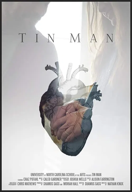 Tin Man movie poster