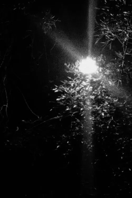 Poster do filme Nachtspaziergang