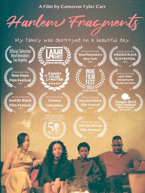 HARLEM FRAGMENTS movie poster