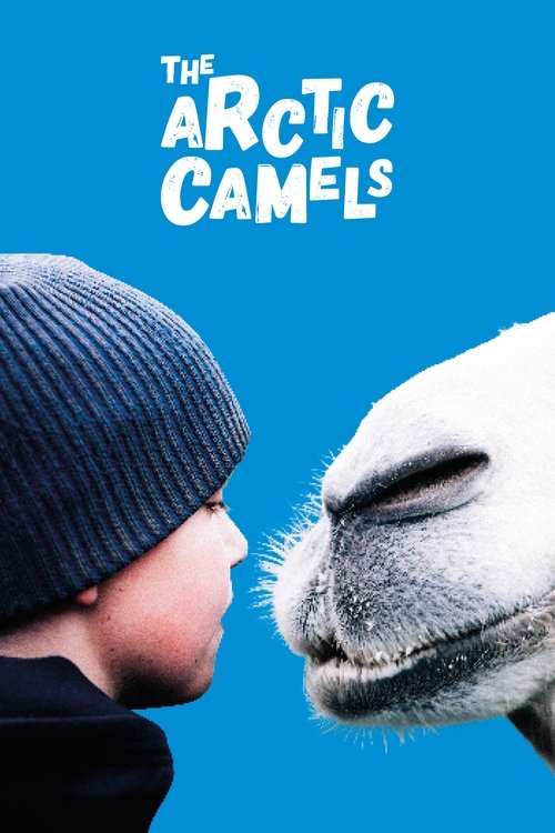 Poster do filme The Arctic Camels