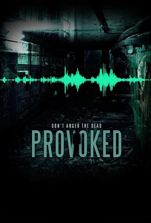Provoked movie poster