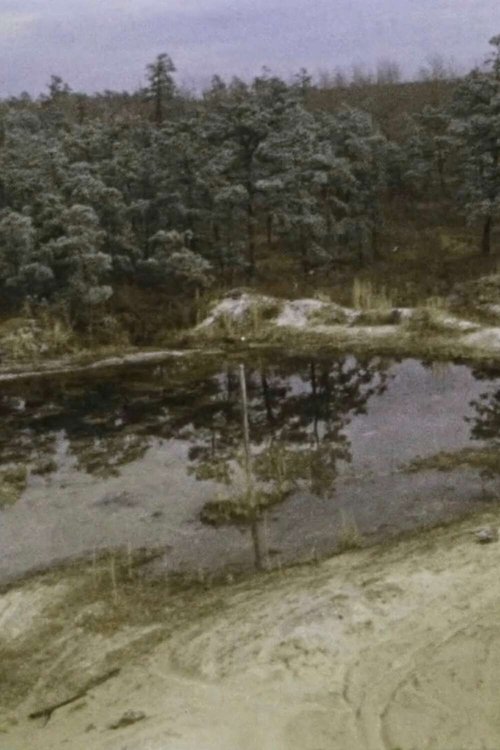 Pine Barrens movie poster