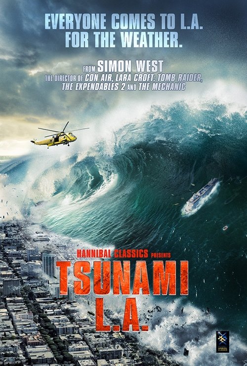 Poster do filme Tsunami LA
