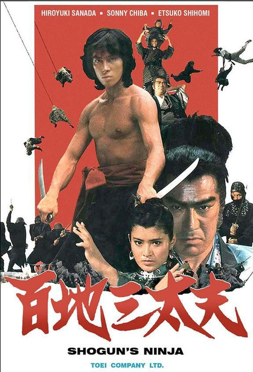 Shogun's Ninja movie poster