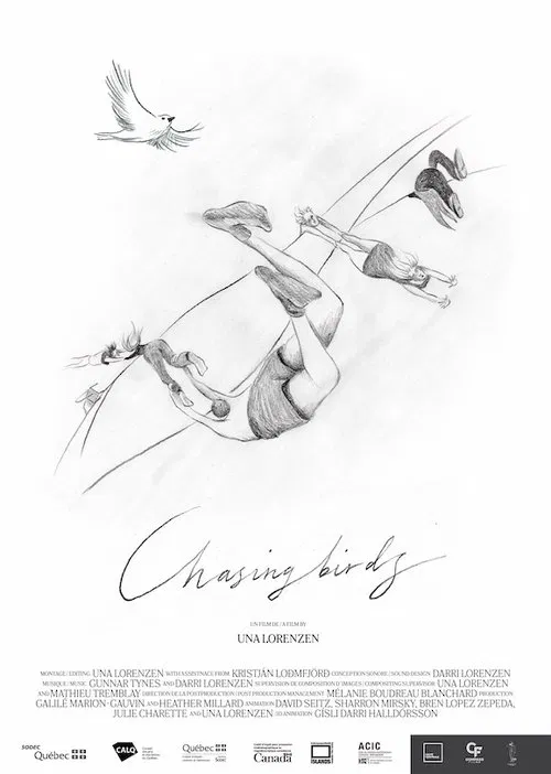 Chasing Birds movie poster