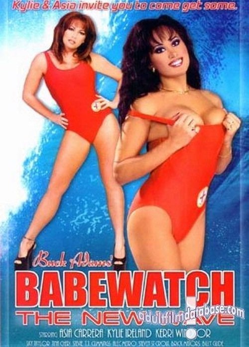 Babewatch 13 movie poster