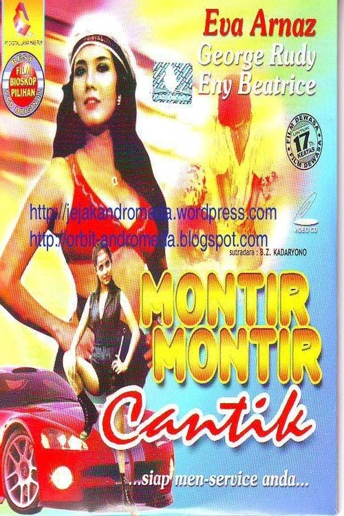 Beautiful Mechanics movie poster