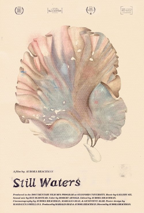 Still Waters movie poster