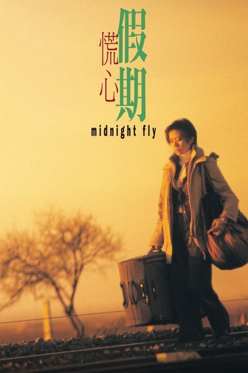 Midnight Fly movie poster