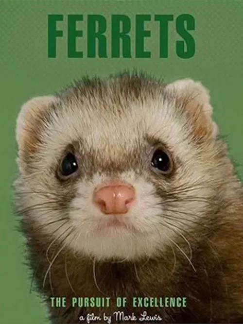 Poster do filme Ferrets