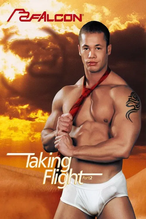 Taking Flight 2 movie poster