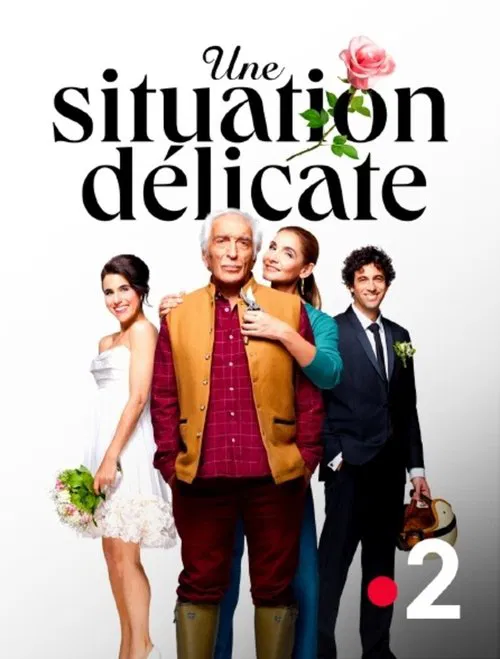 Une situation délicate movie poster
