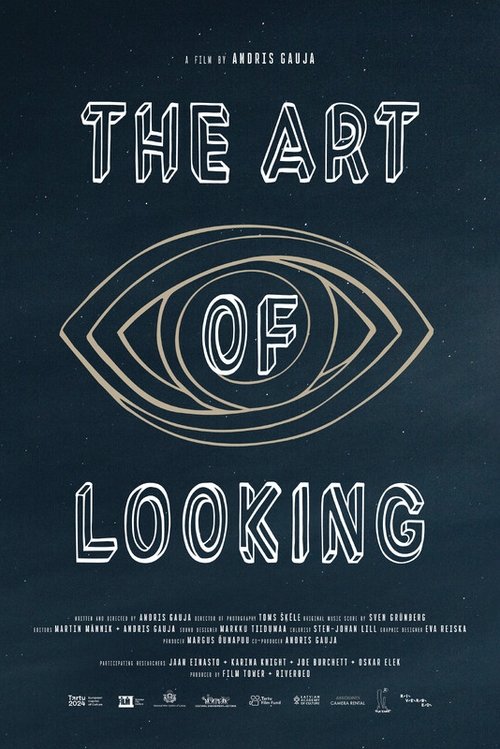 The Art of Looking movie poster