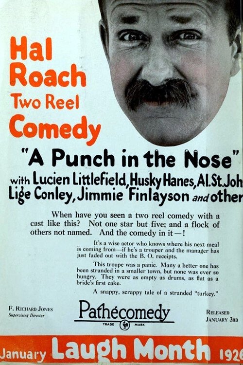 A Punch in the Nose movie poster