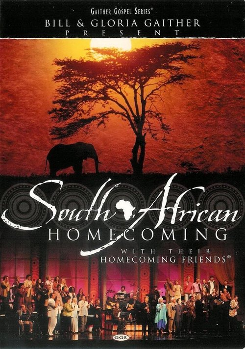 South African Homecoming movie poster