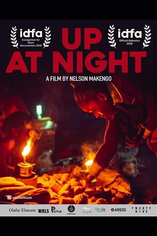 Poster do filme Up at Night