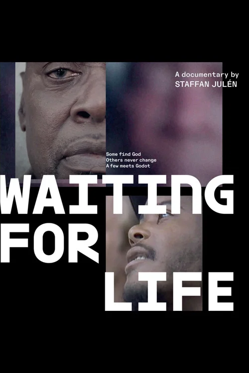 Waiting for Life movie poster