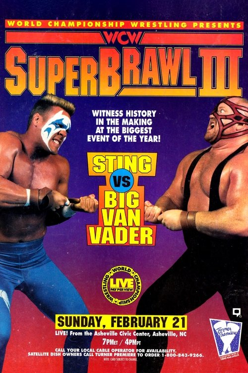 WCW SuperBrawl III movie poster