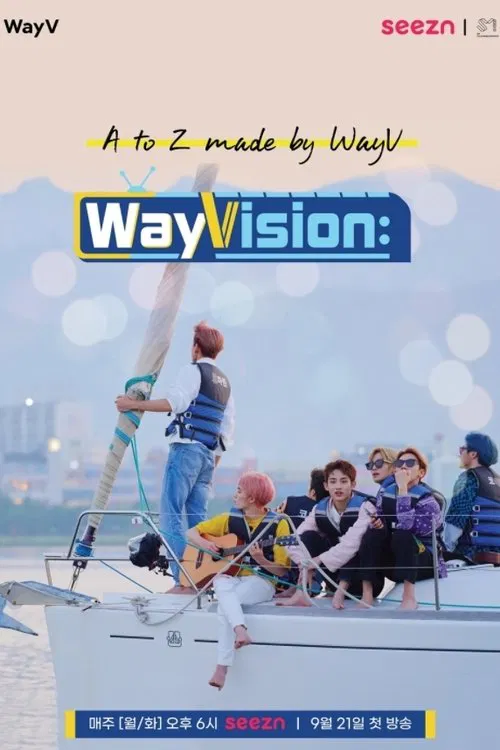 WayVision tv show poster