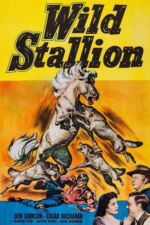 Wild Stallion movie poster